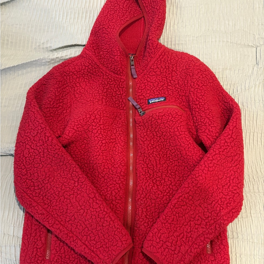 Patagonia Retro Pile Hoodie